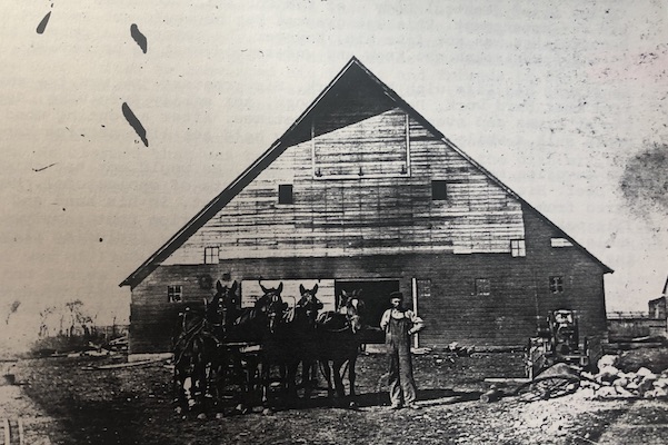 Henry with Team of Horses